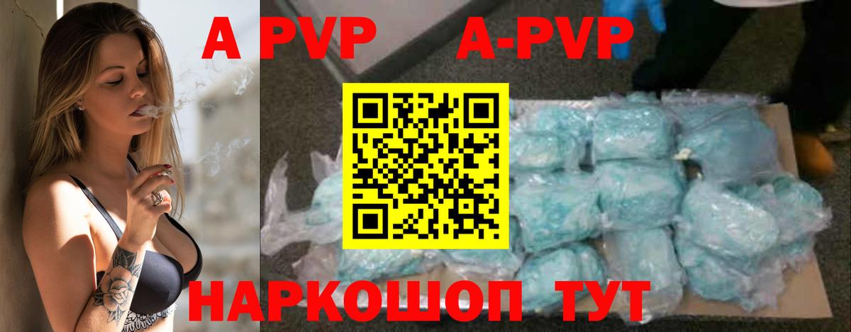 А ПВП СК Новозыбков