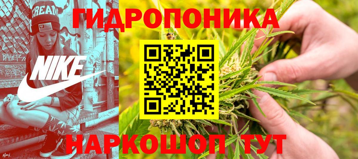 Шишки марихуана OG Kush Новозыбков